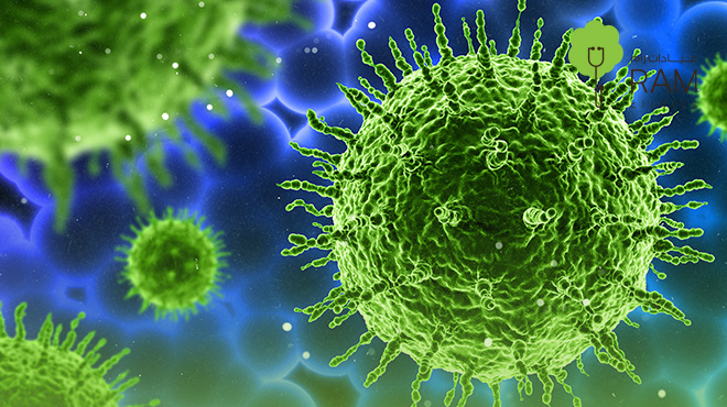 فوائد-البكتيريا-النافعة