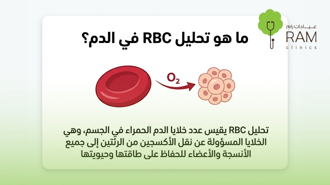 صورة-توضح-ما-هو-تحليل-rbc